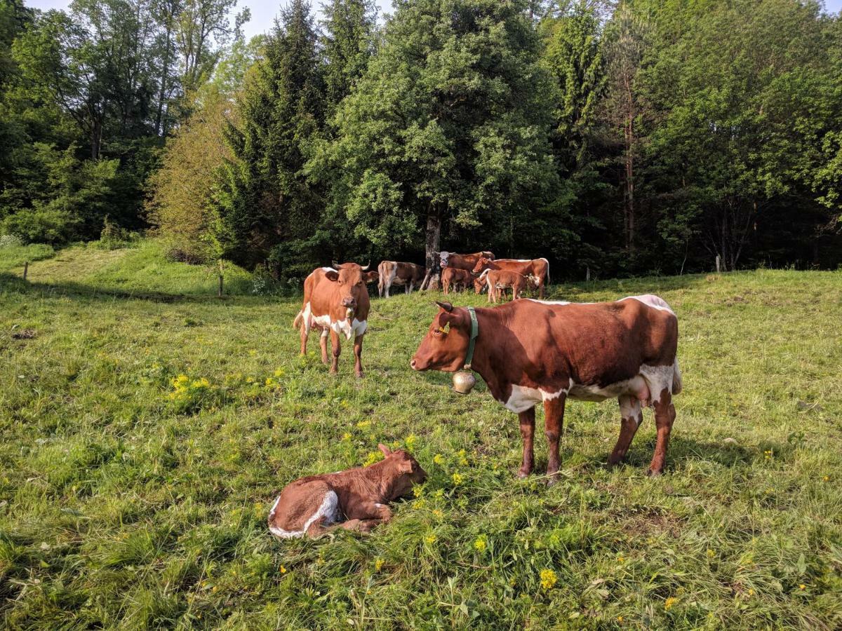 Puzman Farm Glamping Villa Radovljica Ngoại thất bức ảnh